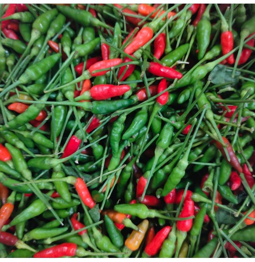 Bird’s Eye Chilies